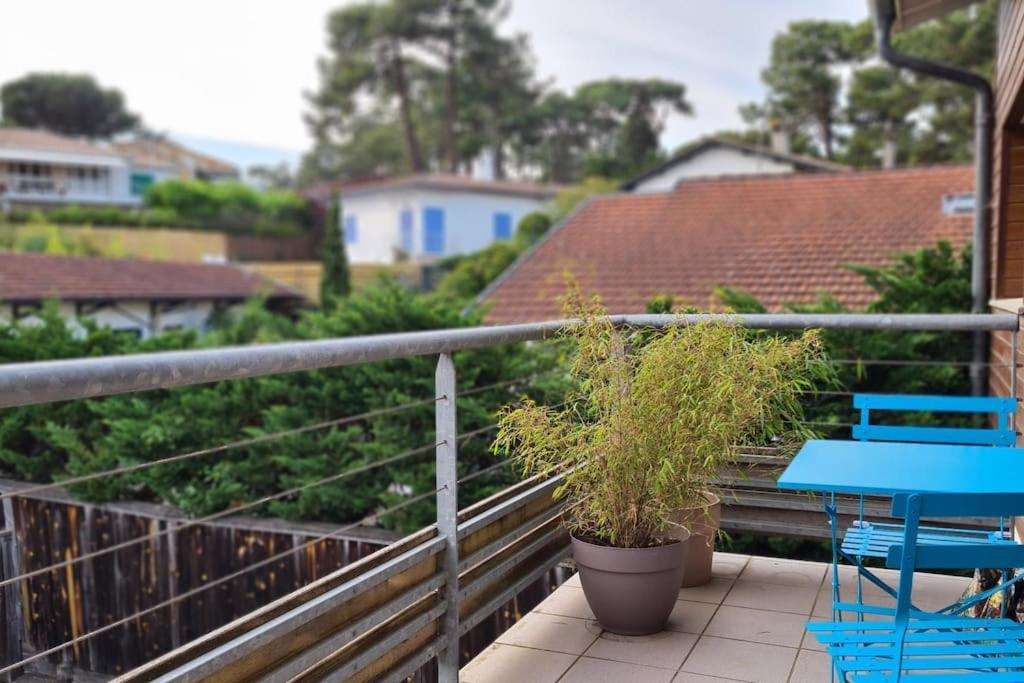 Duplex Cosy Au Canon, 6 Pers, à 60 M De La *